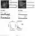 Fig. 82 - Genetically encoded biosensors