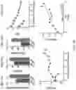 Fig. 85 - Genetically encoded biosensors