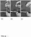 Fig. 08 - METHOD AND APPARATUS FOR DETECTING VIRUSES IN BIOLOGICAL SAMPLES