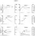 Fig. 03 - METHODS AND KITS FOR DETECTING SARS-CORONAVIRUS-2 ANTIGEN