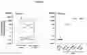 Fig. 04 - METHODS AND KITS FOR DETECTING SARS-CORONAVIRUS-2 ANTIGEN