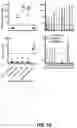 Fig. 11 - METHODS AND KITS FOR DETECTING SARS-CORONAVIRUS-2 ANTIGEN