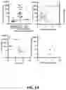 Fig. 12 - METHODS AND KITS FOR DETECTING SARS-CORONAVIRUS-2 ANTIGEN