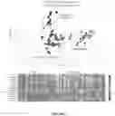 Fig. 03 - METHOD OF DETECTING CANCER AND/OR TUBERCULOSIS
