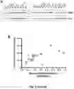 Fig. 06 - Fluorescent substrates for poly(ADP-ribosyl) hydrolases
