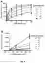 Fig. 07 - Fluorescent substrates for poly(ADP-ribosyl) hydrolases
