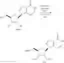 Fig. 47 - Fluorescent substrates for poly(ADP-ribosyl) hydrolases