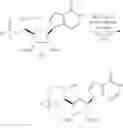Fig. 50 - Fluorescent substrates for poly(ADP-ribosyl) hydrolases