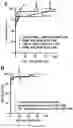 Fig. 04 - USE OF AMNIOTIC FLUID PEPTIDES FOR PREDICTING POSTNATAL RENAL FUNCTION IN CONGENITAL ANOMALIES OF THE KIDNEY AND THE URINARY TRACT