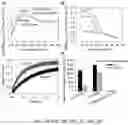 Fig. 03 - DIMERIC COLLAGEN HYBRIDIZING PEPTIDES AND METHODS OF USE THEREOF