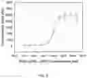 Fig. 09 - DIMERIC COLLAGEN HYBRIDIZING PEPTIDES AND METHODS OF USE THEREOF