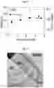 Fig. 07 - Single photon avalanche detector, method for use therefore and method for its manufacture