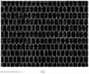 Fig. 09 - TOUCH PANEL AND TOUCH DISPLAY DEVICE