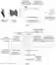 Fig. 04 - IMAGE PROCESSING METHOD, APPARATUS, DEVICE AND STORAGE MEDIUM