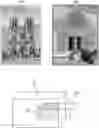 Fig. 01 - Determining visual overlap of images by using box embeddings
