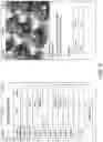 Fig. 22 - VOICE ACTIVATED, MACHINE LEARNING SYSTEM FOR ITERATIVE AND CONTEMPORANEOUS RECIPE PREPARATION AND RECORDATION