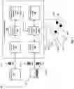 Fig. 02 - KNOWLEDGE GRAPH ENHANCEMENT BY PRIORITIZING CARDINAL NODES