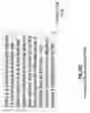 Fig. 41 - Inference process visualization system for medical scans