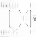 Fig. 02 - Systems and methods for chip-based identity verification and transaction authentication