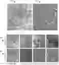 Fig. 01 - Systems, methods, and media for automatically transforming a digital image into a simulated pathology image