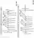 Fig. 15 - Systems for automated lesion detection and related methods
