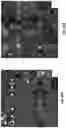 Fig. 16 - Systems for automated lesion detection and related methods