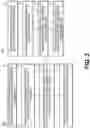 Fig. 06 - Systems and methods to process electronic images for continuous biomarker prediction