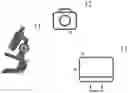 Fig. 01 - Pathological section image processing method and apparatus, system, and storage medium