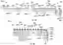 Fig. 98 - Method and system for determining a geographical area occupied by an intersection