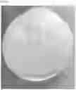 Fig. 10 - SIMULATED SCLERA AND SIMULATED EYEBALL