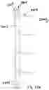 Fig. 76 - SIGNAGE SYSTEMS AND MERCHANDISING DISPLAY ASSEMBLIES