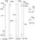 Fig. 77 - SIGNAGE SYSTEMS AND MERCHANDISING DISPLAY ASSEMBLIES