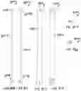 Fig. 79 - SIGNAGE SYSTEMS AND MERCHANDISING DISPLAY ASSEMBLIES