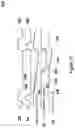 Fig. 16 - Memory device
