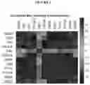 Fig. 02 - Method for Determining a Chemotypic Profile