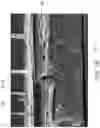 Fig. 03 - Sputtering equipment and operation method thereof