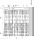 Fig. 35 - Three-dimensional memory device with dielectric isolated via structures and methods of making the same