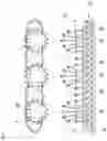 Fig. 12 - Phosphor substrate, light emitting substrate, and lighting device