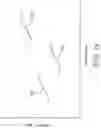Fig. 16 - Polarizer and display including same