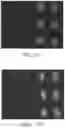 Fig. 47 - Polarizer and display including same