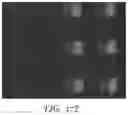 Fig. 48 - Polarizer and display including same