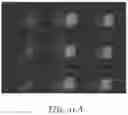 Fig. 58 - Polarizer and display including same