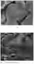 Fig. 02 - NEGATIVE ELECTRODE MATERIAL AND ELECTROCHEMICAL APPARATUS AND ELECTRONIC APPARATUS CONTAINING THE NEGATIVE ELECTRODE MATERIAL