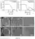 Fig. 08 - Lithium metal pouch cells and methods of making the same