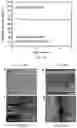 Fig. 09 - Lithium metal pouch cells and methods of making the same