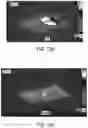 Fig. 22 - Processes for making niobium-based electrode materials