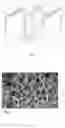 Fig. 03 - Rechargeable battery cell