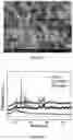 Fig. 04 - PREPARATION AND APPLICATION OF COPPER FLUORIDE/FLUORINATED GRAPHENE COMPOSITE MATERIAL WITH HIGH ENERGY DENSITY