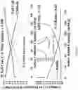 Fig. 16 - SODIUM-ION BATTERIES