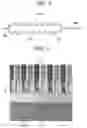 Fig. 03 - Electrochemical cell and exterior material provided therein